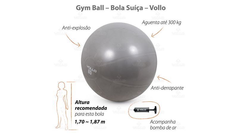 Bola Suíça Para Pilates e Ginástica 65 Cm - Horse Fitness