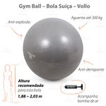 VP1036-Gym-Ball-75cm-Vollo-Destaques-01.jpg