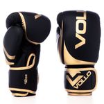 VFG802-12-Luva-de-Boxe-Training-Preta-e-Dourada-Vollo-Imagem-01-1200px