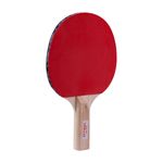 VT601-Raquete-Tenis-de-Mesa-Vollo-Imagem-03-1200px.jpg