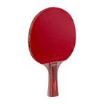 VT604-Raquete-Tenis-de-Mesa-Vollo-ITTF-Imagem-03-1200px -1-.jpg