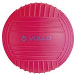 VV015-3-Bola-Mini-de-Iniciacao-ao-Polo-Aquatico-15cm-Rosa-Vollo-Imagem-01-1200px -3-.jpg