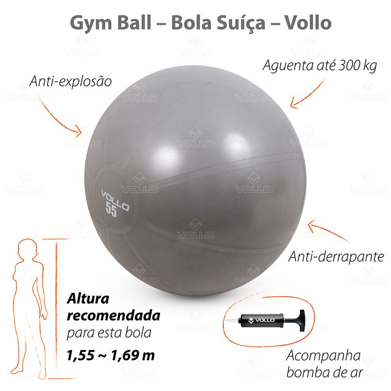 VP1034-Gym-Ball-55cm-Vollo-Destaques-01-1200px.jpg