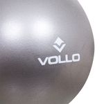 VP1082-Mini-Bola-de-Exercicios-25-cm-Vollo-Imagem-02-1200px.jpg