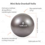 VP1082-Mini-Bola-de-Exercicios-25-cm-Vollo-Destaques-01-1200px.jpg