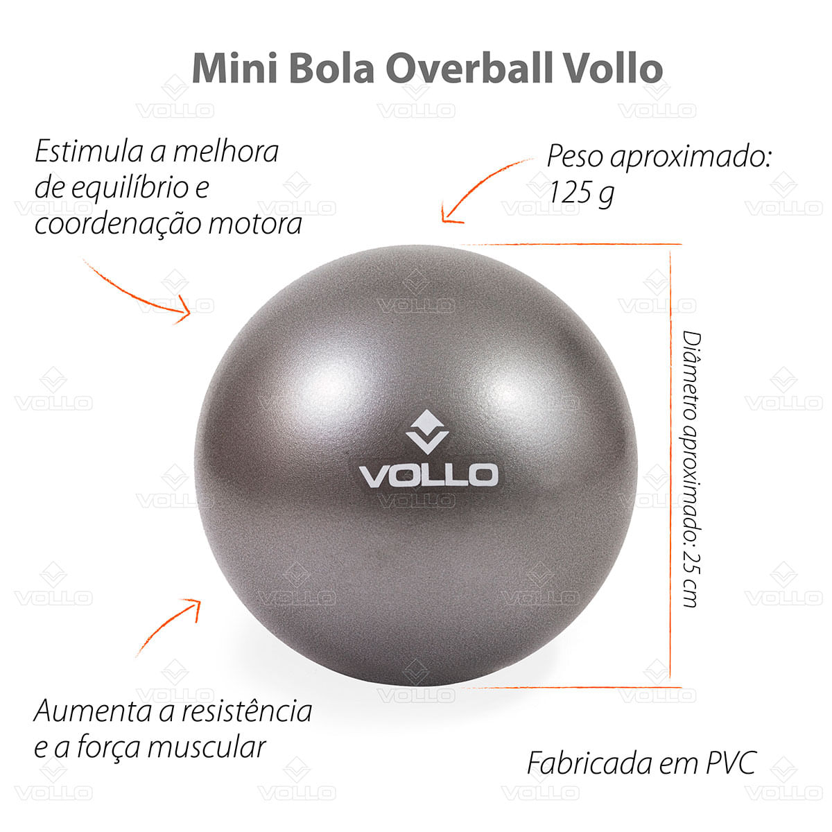 VP1082-Mini-Bola-de-Exercicios-25-cm-Vollo-Destaques-01-1200px.jpg