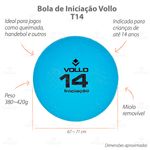 BI014-Bola-de-Iniciacao-Vollo-Destaques-01-1200px -1-.jpg