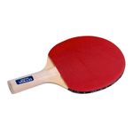VT600-Raquete-Tenis-de-Mesa-Vollo-Imagem-01-1200px.jpg
