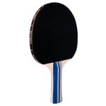 VT700-Raquete-Tenis-de-Mesa-Vollo-Imagem-05-1200px.jpg