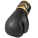 VFG902-10-Conjunto-Boxe-Muay-Thai-Training-Imagem-02-Original