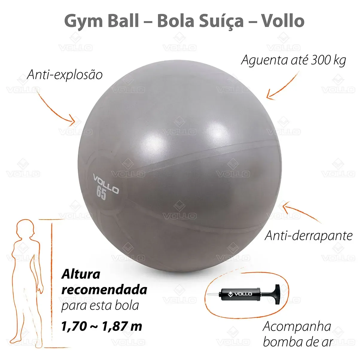 VP1035-Gym-Ball-65cm-Vollo-Destaques-01-1200px